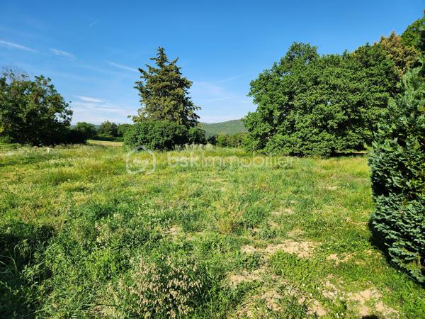 Terrain de 845 m²
