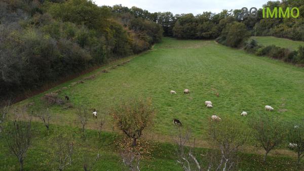 Vente / Ensemble de 2 maisons