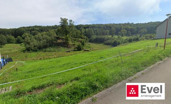 🌳 À Vendre – Terrain à bâtir de 1292 m² – Pays de Bitche