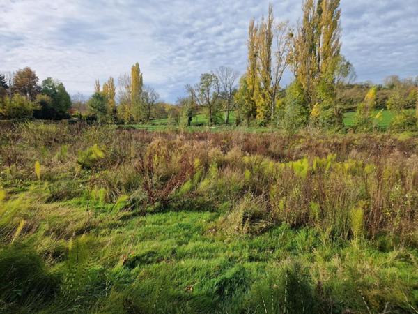 Grange avec terrain. Idéal pour box
