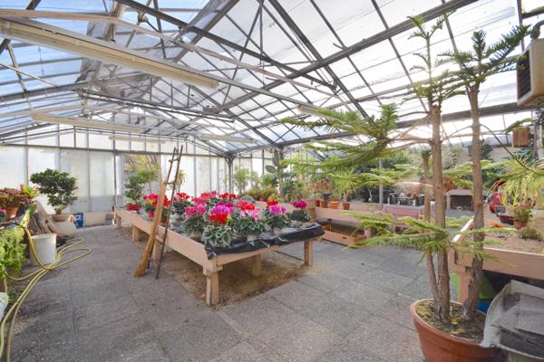 Local Commercial - 234 m² Exclusivité efficity