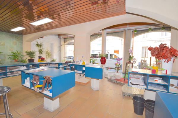 Local Commercial - 234 m² Exclusivité efficity