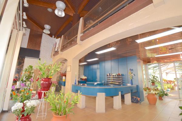 Local Commercial - 234 m² Exclusivité efficity