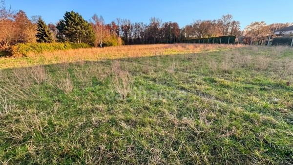 Terrain à vendre JUNIVILLE (08)