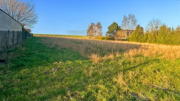 Terrain à vendre JUNIVILLE (08)