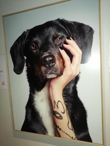 Vente murs / Local Commercial