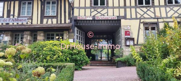 Hôtel particulier à vendre 18 pièces de 800 m²