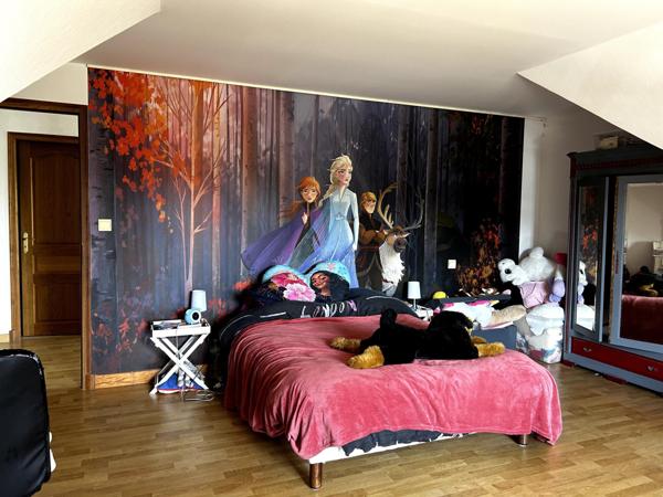 Maison à PRUNIERS-EN-SOLOGNE, 41200 - 9 pièces 281m²