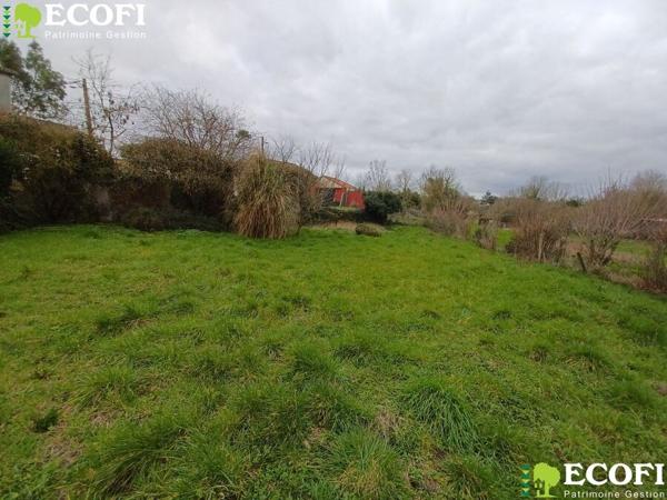 Terrain constructible