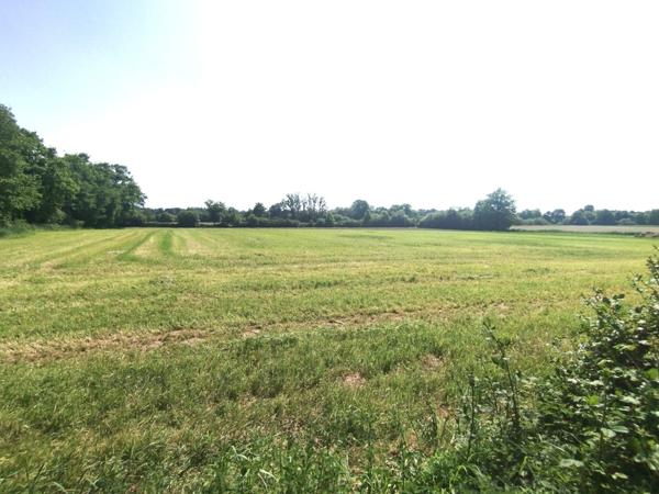 À vendre - Maison de maître, 4 pièces situé à Pipriac (35550)