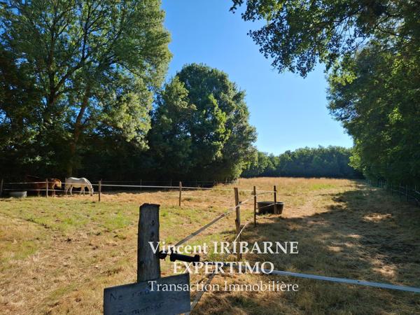 Saintes (17100) Saintongeaise avec Piscine, Ecurie, Dépendances et Prés