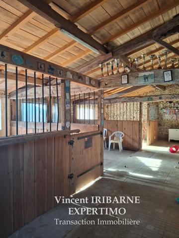 Saintes (17100) Saintongeaise avec Piscine, Ecurie, Dépendances et Prés