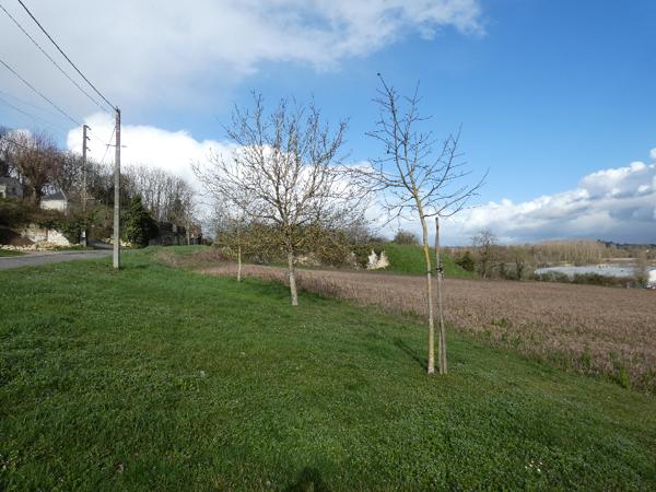 Terrain Loches 7989 m2