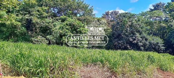 Superbe terrain à la campagne