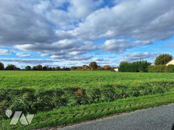 Terrain 2ha avec partie à bâtir, Blancafort