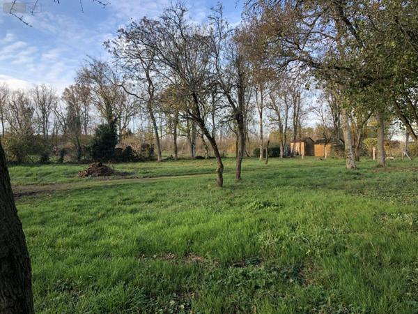 Terrain à Batir à vendre à Les Bordes dans l'Indre (36100), ref : 11813/1496