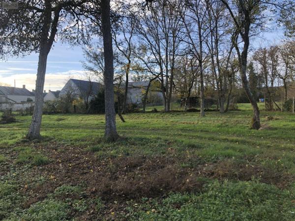 Terrain à Batir à vendre à Les Bordes dans l'Indre (36100), ref : 11813/1496