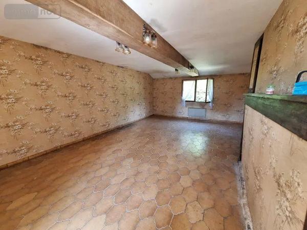 Achat - Maison | Maison à restaurer Lusigny-sur-Barse 10270 4 pièces 79 m 2 1568 m 2