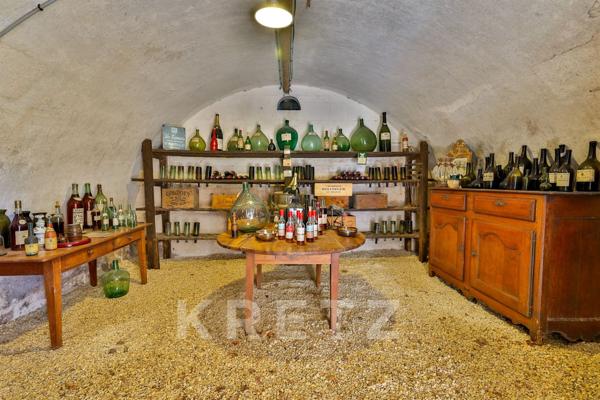 Château d’exception rénové du XIXᵉ siècle sur 9 hectares au cœur du Cognac