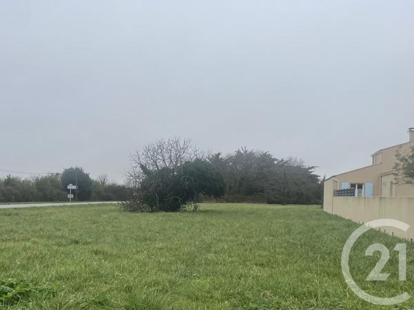Terrain à vendre  1403 m2 DOLUS D OLERON - 17