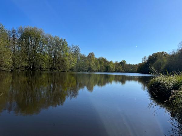 Vente
                Demeure de Prestige200 m² - 10 Pièces -
                    GIEN (45500)