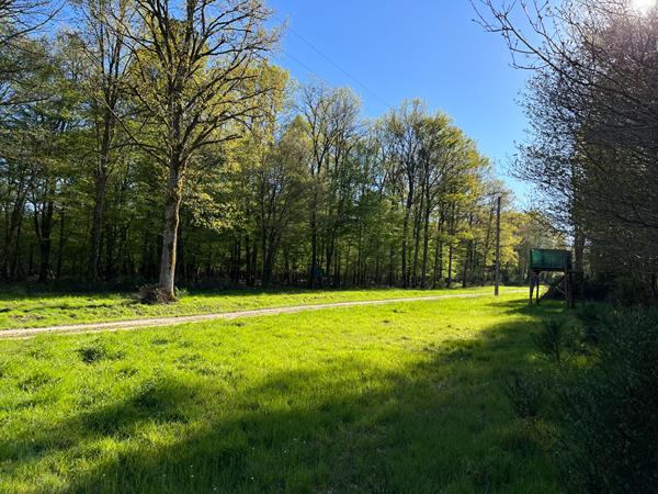 Vente
                Demeure de Prestige200 m² - 10 Pièces -
                    GIEN (45500)