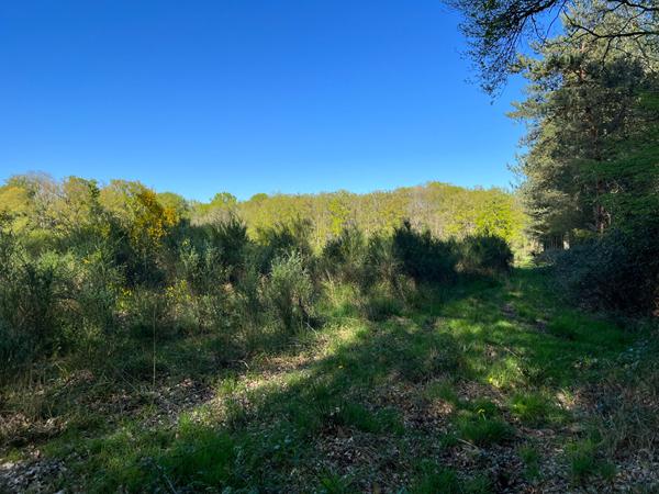 Vente
                Demeure de Prestige200 m² - 10 Pièces -
                    GIEN (45500)