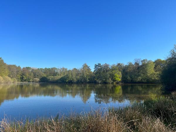 Vente
                Demeure de Prestige200 m² - 10 Pièces -
                    GIEN (45500)