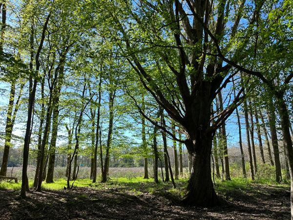 Vente
                Demeure de Prestige200 m² - 10 Pièces -
                    GIEN (45500)