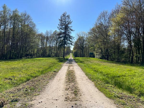 Vente
                Demeure de Prestige200 m² - 10 Pièces -
                    GIEN (45500)