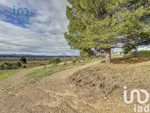 Terrain à vendre 4 865 m² Azille