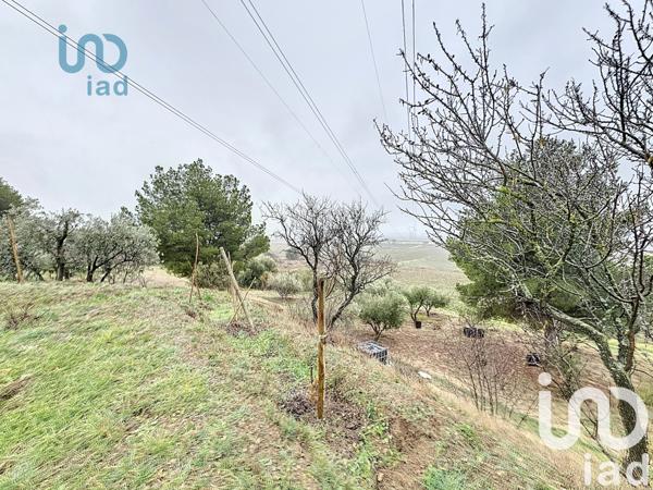 Terrain à vendre 4 865 m² Azille