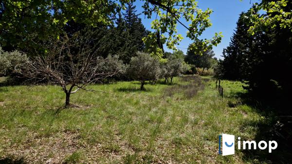 Belle maison avec piscine