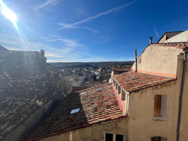 Vaste maison familiale avec jardin dans le centre