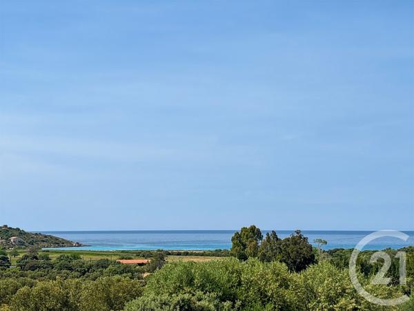 Maison à vendre  5 pièces - 246,57 m2 BELGODERE - 202