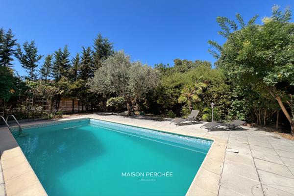 Draguignan (83300) PALOMA