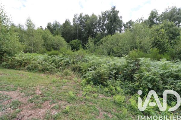 Terrain à vendre 1 203 m² Saint-Rémy