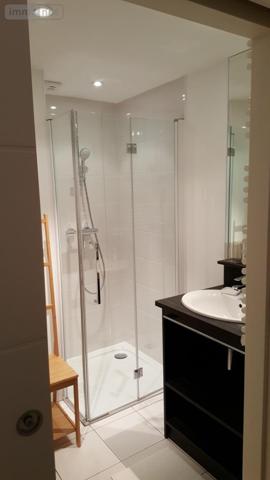Appartement à louer à Nantes en Loire-Atlantique (44300), ref : 44028-L173