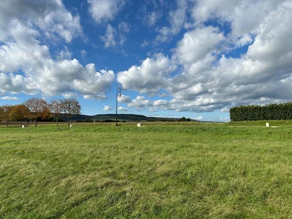 Terrain à Bâtir - 535 m2 - Vitteaux (21)