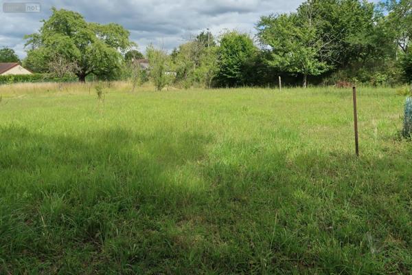 Achat - Terrain à bâtir | Terrain à bâtir Châtellerault 86100 954 m 2
