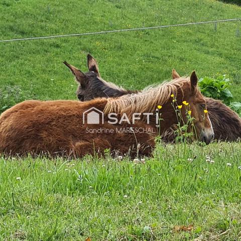 CORPS DE FERME RENOVE