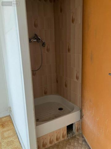 Appartement à rénover à vendre à Saint-Maurice dans le Val-de-Marne (94410), ref : 17727/11