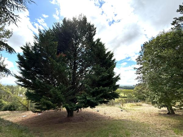 Villa T5 avec vue panoramique, sous-sol isolé et terrain de 4000 m²