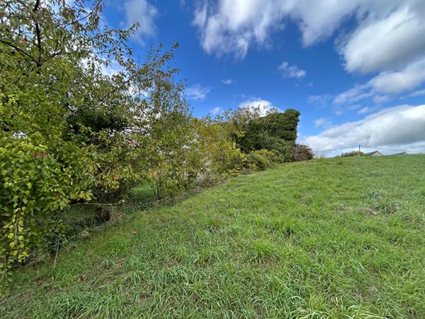 terrain construsctible