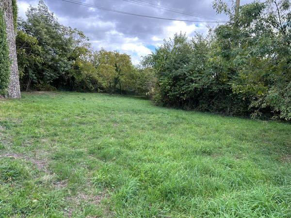 terrain construsctible