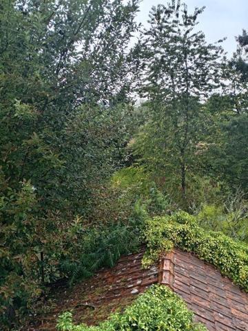 Appartement au 1er étage sur 500m2 de jardin