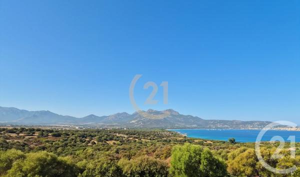 Maison à vendre  4 pièces - 83,40 m 2   LUMIO  - 202