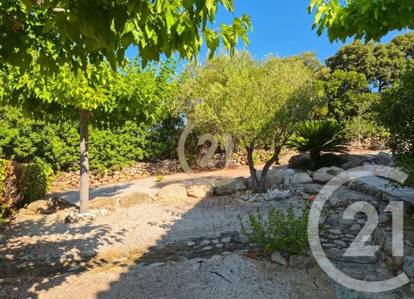 Maison à vendre  4 pièces - 83,40 m 2   LUMIO  - 202