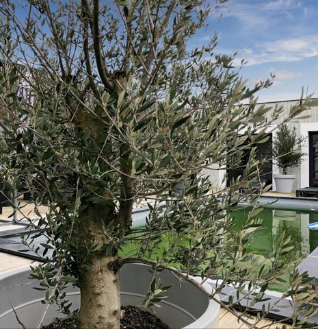 Maison 5 pièces - 234 m²