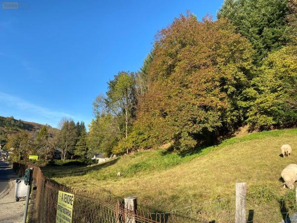 Terrain à Batir à vendre à Saint-Martin-Valmeroux dans le Cantal (15140), ref : 15060/863